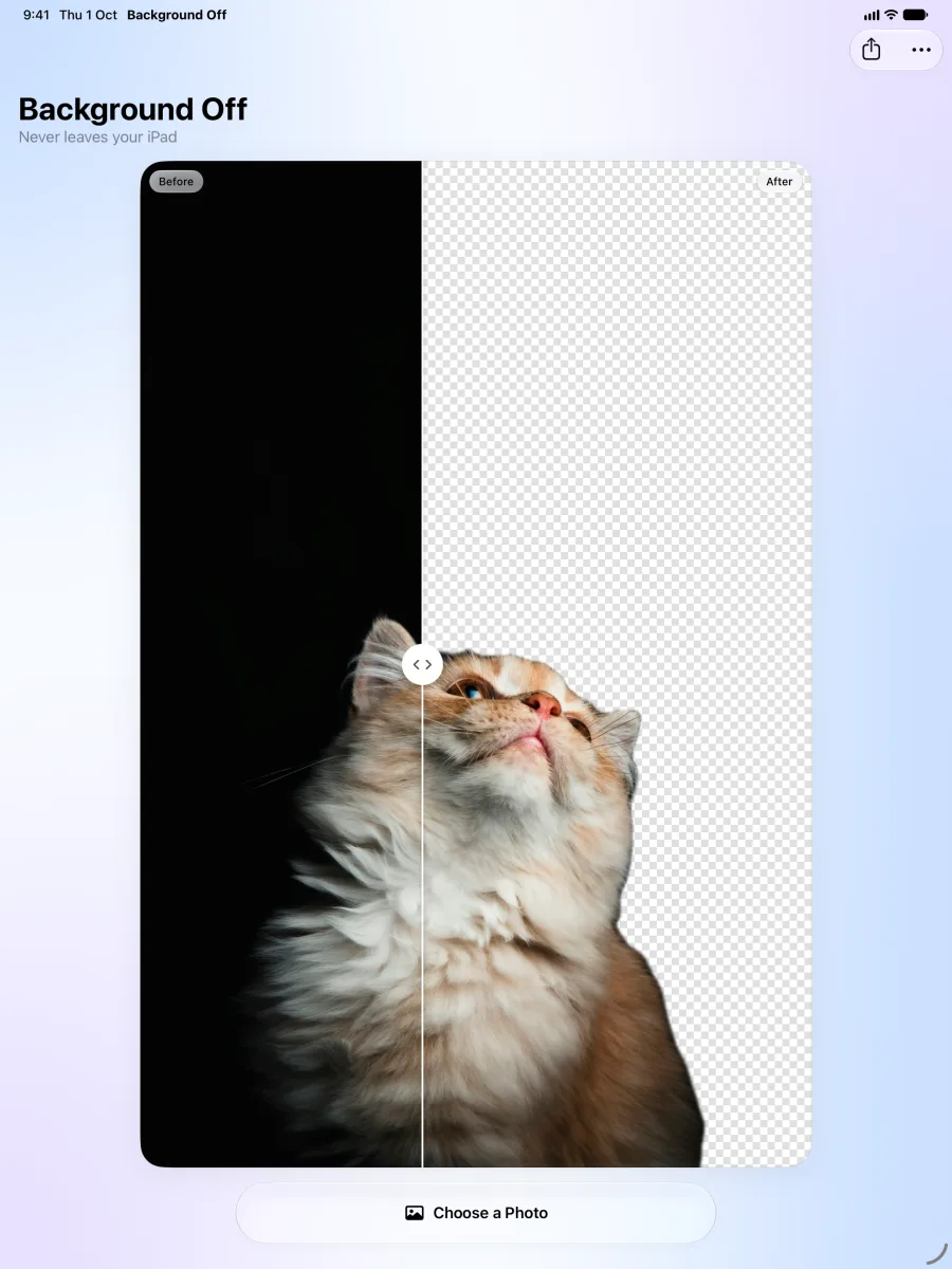 Background Off on iPad: a large before and after of a fluffy cat
