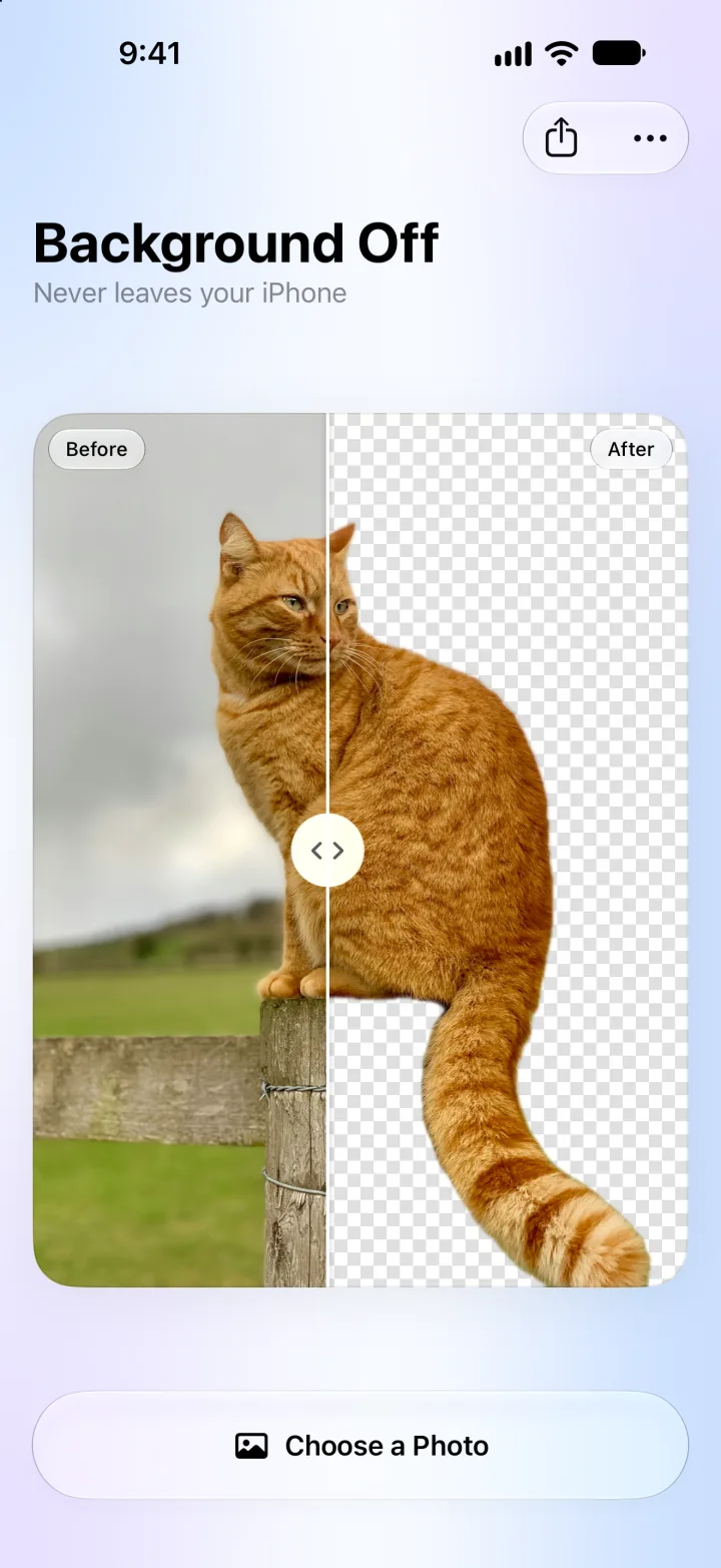 A ginger cat cut out, with the share and more buttons at the top