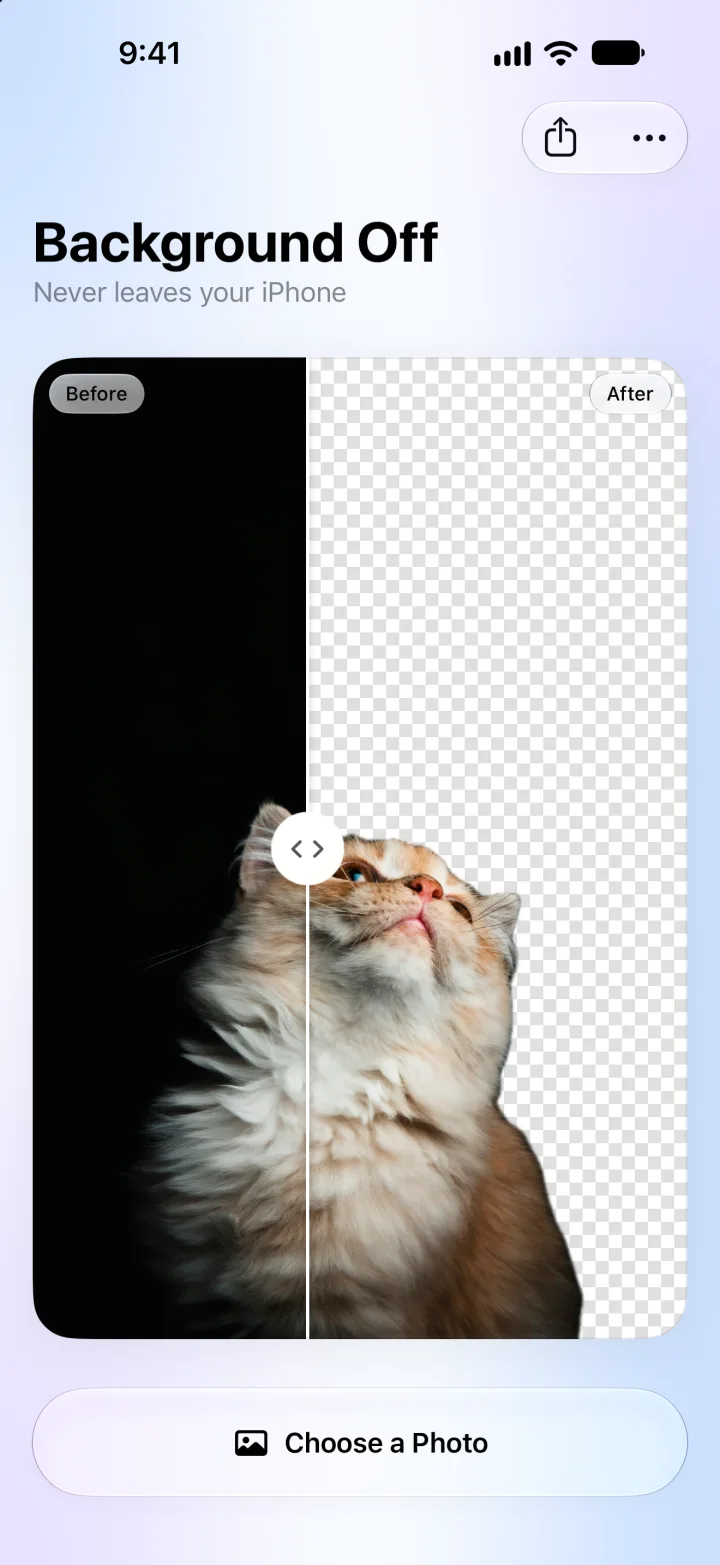 A fluffy cat looking up, half original, half cut out on a transparent checkerboard
