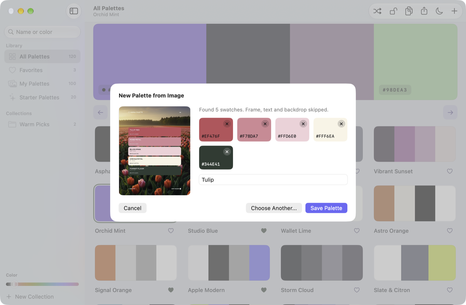 A palette card over a tulip field gives exactly its five swatch colors; the photo is skipped